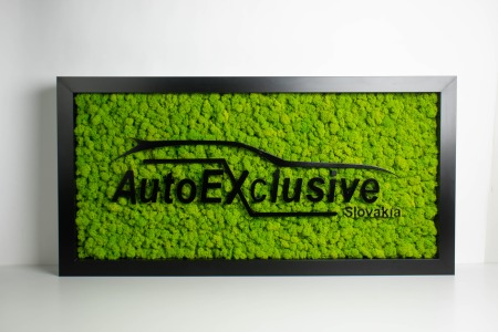 logo autoexclusive