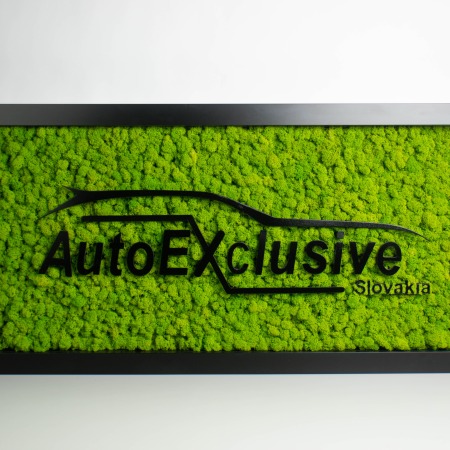 logo autoexclusive