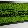 machove logo autoexclusive