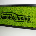 autoexclusive