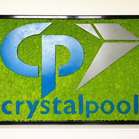 mechovy obraz crystalpool